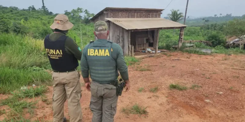 São Felix do Xingú.16/12/2023 Vila Renascer é totalmente desocupada e agentes intensificam trabalho de inutilização das estruturas ilegais na Terra Indígena. Animais são encontrados em situação de abandono e maus tratos. Foto ASCOM