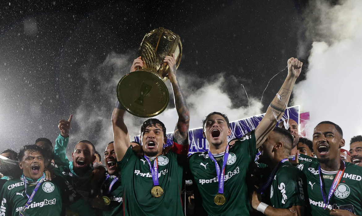 palmeiras, novorizontino, campeonato paulista