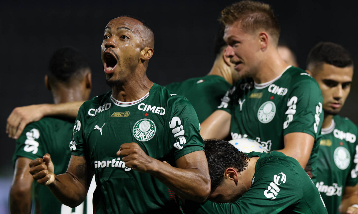 palmeiras, grêmio, brasileiro