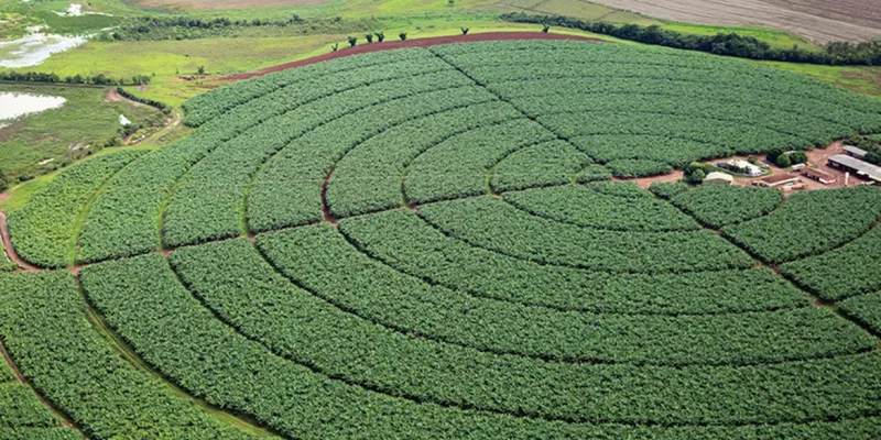pivôs centrais de irrigação, Plantação de soja