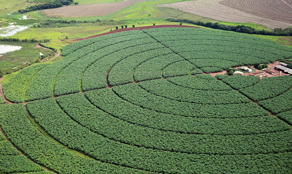 pivôs centrais de irrigação, Plantação de soja