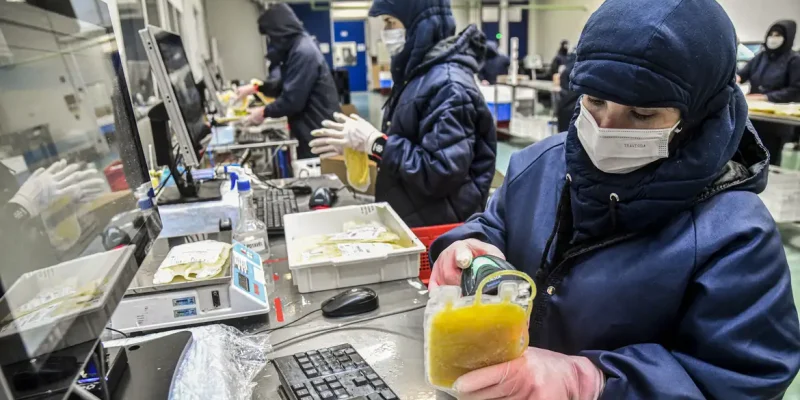 Brasília (DF) 21/11/2024 - Matéria especial sobre ecorde de plasma 
Foto: Hemobrás/Divulgação