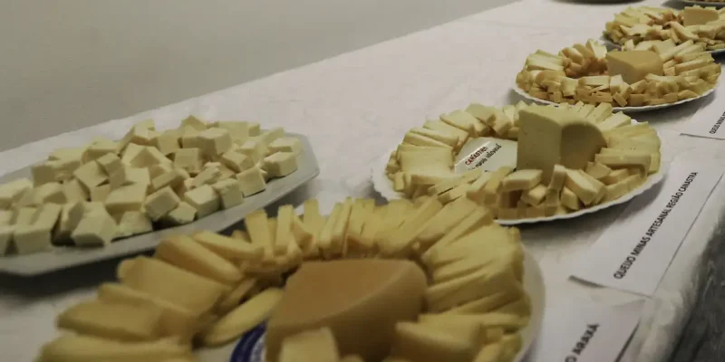 Queijo artesanal, queijo Canastra