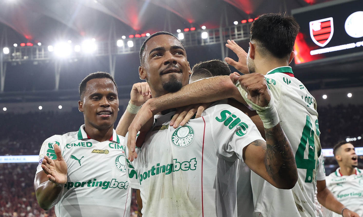 palmeiras, flamengo, brasileiro