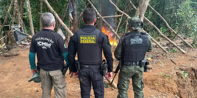 PF e ICMBio desativam garimpos ilegais que ameaçavam linhas de transmissão de energia no Pará. Foto: Polícia Federal/Divulgação