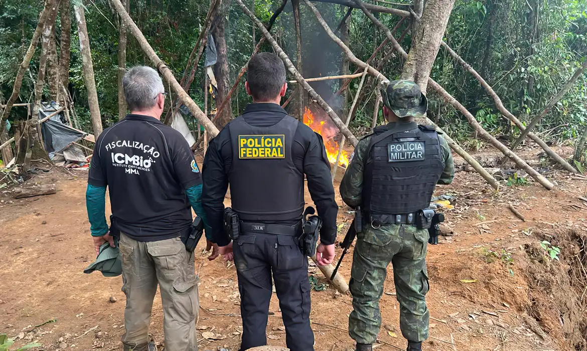 PF e ICMBio desativam garimpos ilegais que ameaçavam linhas de transmissão de energia no Pará. Foto: Polícia Federal/Divulgação
