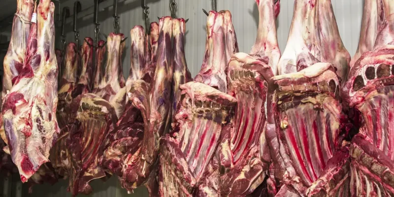 Carne fresca,Açougues, Frigoríficos, alimento