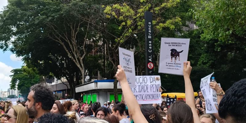 01/02/2026  - Centenas de pessoas pedem justiça por cãozinho Orelha em SP. Foto: Letycia Bond/ Agência Brasil