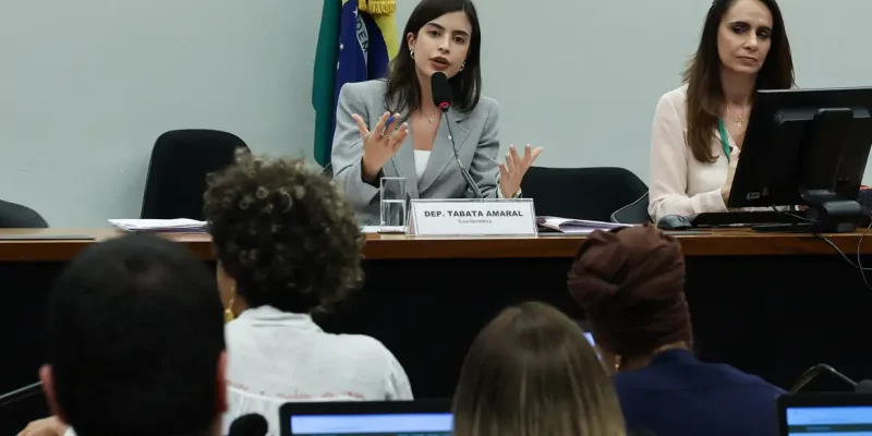 Brasília – DF – 16/06/2026 – Reunião do Grupo de Trabalho da Câmara sobre Crimes Praticados em Razão de Misoginia.  Foto Lula Marques/Agência Brasil.