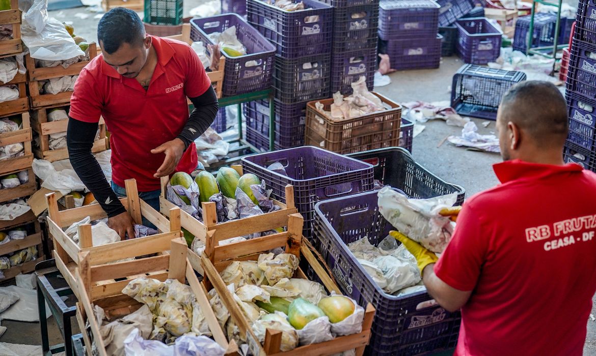 Brasília-DF, 10.11.2023, A Centrais de Abastecimento do Distrito Federal, a CEASA-DF, tem movimento intenso de pessoas que buscam as melhores frutas, legumes e verduras. Foto: Rafa Neddermeyer/Agência Brasil