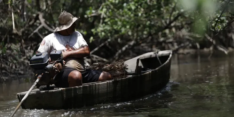Magé (RJ), 15/10/2024 - Pesca artesanal em manguezal na Piedade banhado pelo Rio Majé, que desagua na Baía de Guanabara. Foto: Fernando Frazão/Agência Brasil