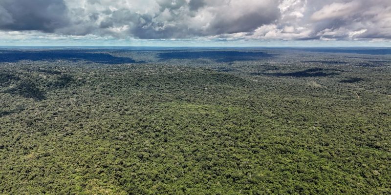 14/05/2026 - Belterra - Floresta
Nacional do Tapajós - Pará - Na comunidade de Piquiatuba, dentro da Floresta
Nacional do Tapajós, Elton Vasconcelos criou um
negócio que une culinária regional, turismo de
experiência e desenvolvimento comunitário.
A Casa do Eltom virou referência para visitantes que
buscam viver a Amazônia real: sabores locais, trilhas,
hospitalidade e conexão com a floresta. E é exemplo
vivo do turismo de base comunitária.
O empreendimento agora amplia sua atuação com
passeios turísticos e hospedagem, incluindo a
implantação de chalés após conseguir aporte de R$
200 mil de investidores e alta demanda já na fase
inicial. Foto: Rafa Neddermeyer/Agência Brasil
