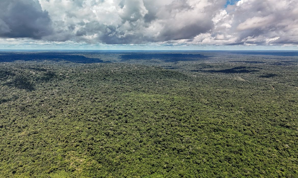 14/05/2026 - Belterra - Floresta
Nacional do Tapajós - Pará - Na comunidade de Piquiatuba, dentro da Floresta
Nacional do Tapajós, Elton Vasconcelos criou um
negócio que une culinária regional, turismo de
experiência e desenvolvimento comunitário.
A Casa do Eltom virou referência para visitantes que
buscam viver a Amazônia real: sabores locais, trilhas,
hospitalidade e conexão com a floresta. E é exemplo
vivo do turismo de base comunitária.
O empreendimento agora amplia sua atuação com
passeios turísticos e hospedagem, incluindo a
implantação de chalés após conseguir aporte de R$
200 mil de investidores e alta demanda já na fase
inicial. Foto: Rafa Neddermeyer/Agência Brasil