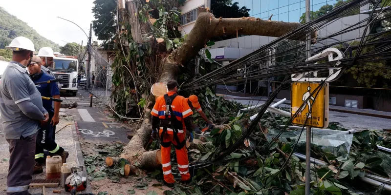 Rio de Janeiro (RJ), 30/07/2026 - Estragos provocados pelos fortes ventos que atingiram a cidade  na tarde desta quarta-feira (29). Árvore caí em frente ao Hospital Pró-Cardíaco, em Botafogo, destruindo portão e fiação Foto: Tânia Rêgo/Agência Brasil