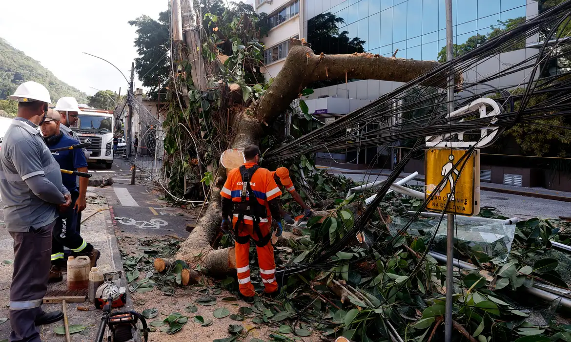 Rio de Janeiro (RJ), 30/07/2026 - Estragos provocados pelos fortes ventos que atingiram a cidade  na tarde desta quarta-feira (29). Árvore caí em frente ao Hospital Pró-Cardíaco, em Botafogo, destruindo portão e fiação Foto: Tânia Rêgo/Agência Brasil