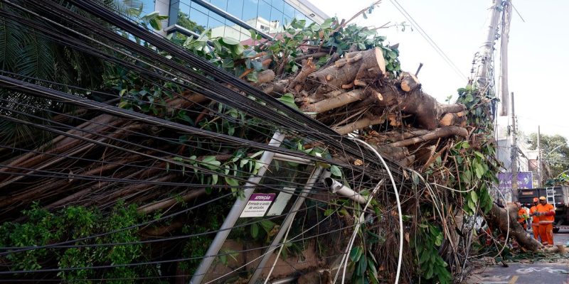 Rio de Janeiro (RJ), 30/07/2026 - Estragos provocados pelos fortes ventos que atingiram a cidade  na tarde desta quarta-feira (29). Árvore caí em frente ao Hospital Pró-Cardíaco, em Botafogo, destruindo portão e fiação Foto: Tânia Rêgo/Agência Brasil