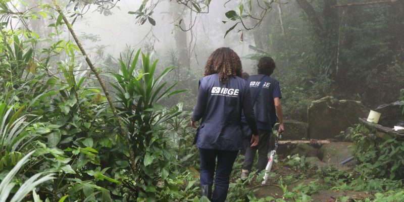 Recenseadores do IBGE percorrem as trilhas da comunidade quilombola de Pedra Bonita, no Alto da Boa Vista. Censo demográfico do IBGE identifica pela primeira vez a população e o território das comunidades quilombolas no Brasil.