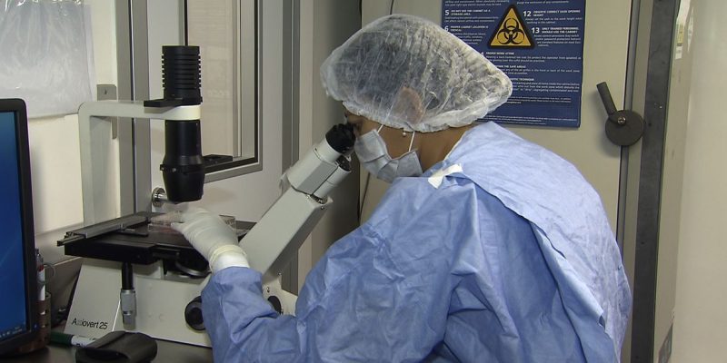 Pesquisadores da UFRJ conseguiram fazer o sequenciamento do genoma do vírus Zika