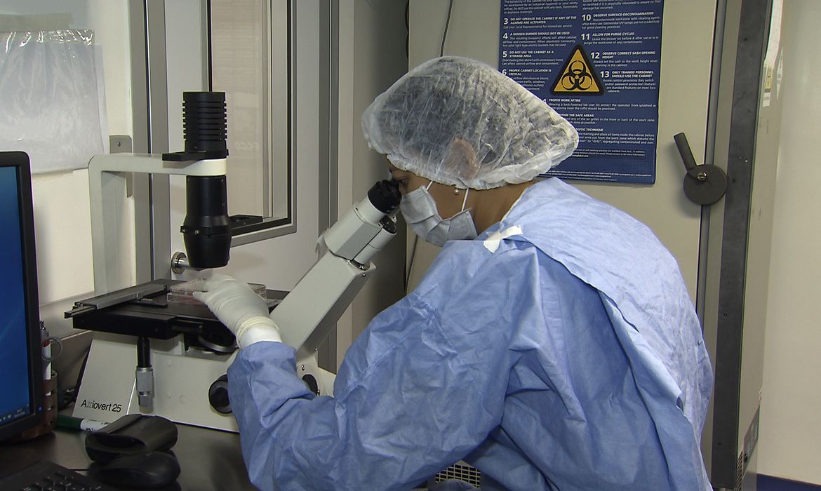 Pesquisadores da UFRJ conseguiram fazer o sequenciamento do genoma do vírus Zika