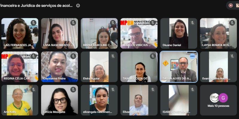 Registro daTela da reunião virtual