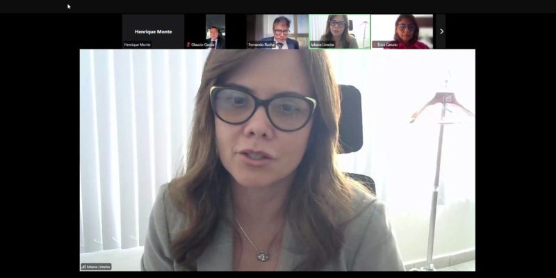 print de reunião virtual