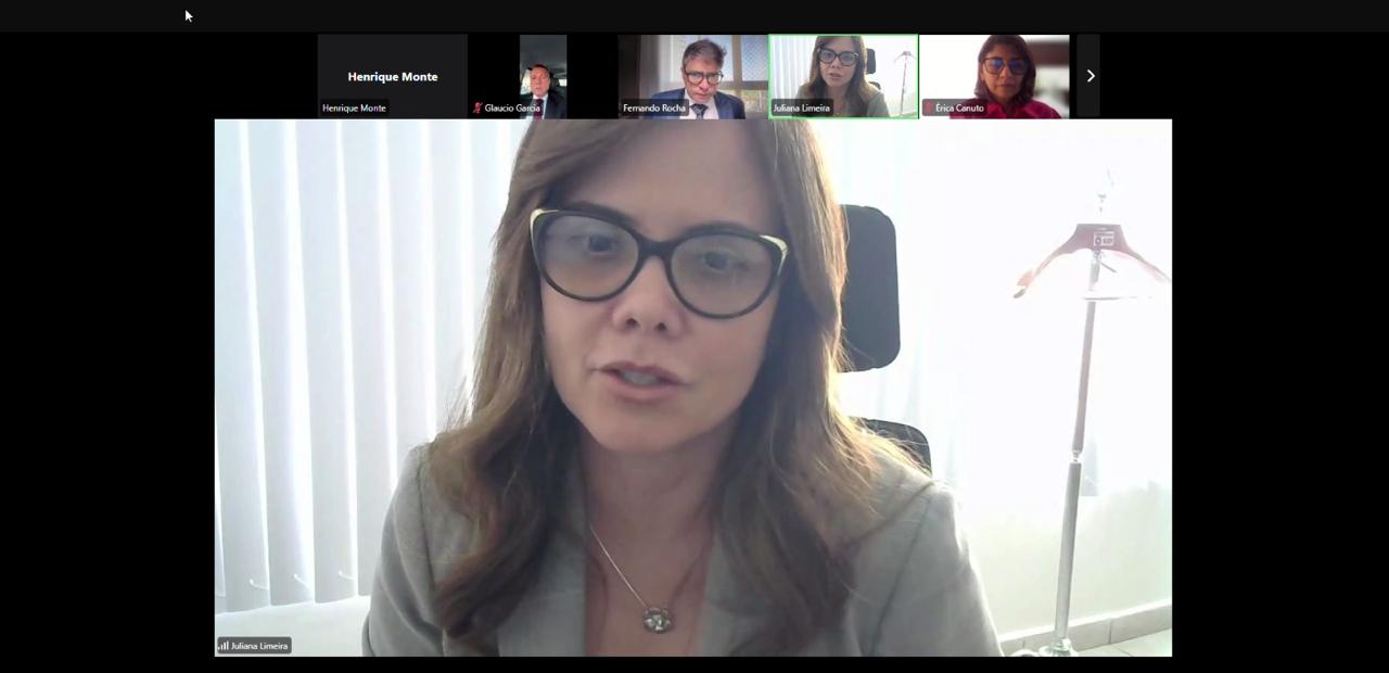 print de reunião virtual