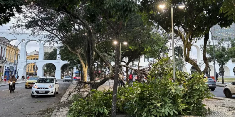 Rio de Janeiro - 29/07/2026 - ventania causa estragos no Rio. Foto Tânia Rêgo/Agência Brasil