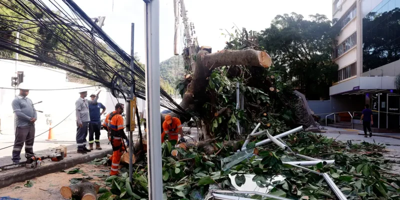 Rio de Janeiro (RJ), 30/07/2026 - Estragos provocados pelos fortes ventos que atingiram a cidade  na tarde desta quarta-feira (29). Árvore caí em frente ao Hospital Pró-Cardíaco, em Botafogo, destruindo portão e fiação Foto: Tânia Rêgo/Agência Brasil